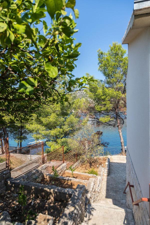 House Andrea Βίλα Λάστοβο Εξωτερικό φωτογραφία